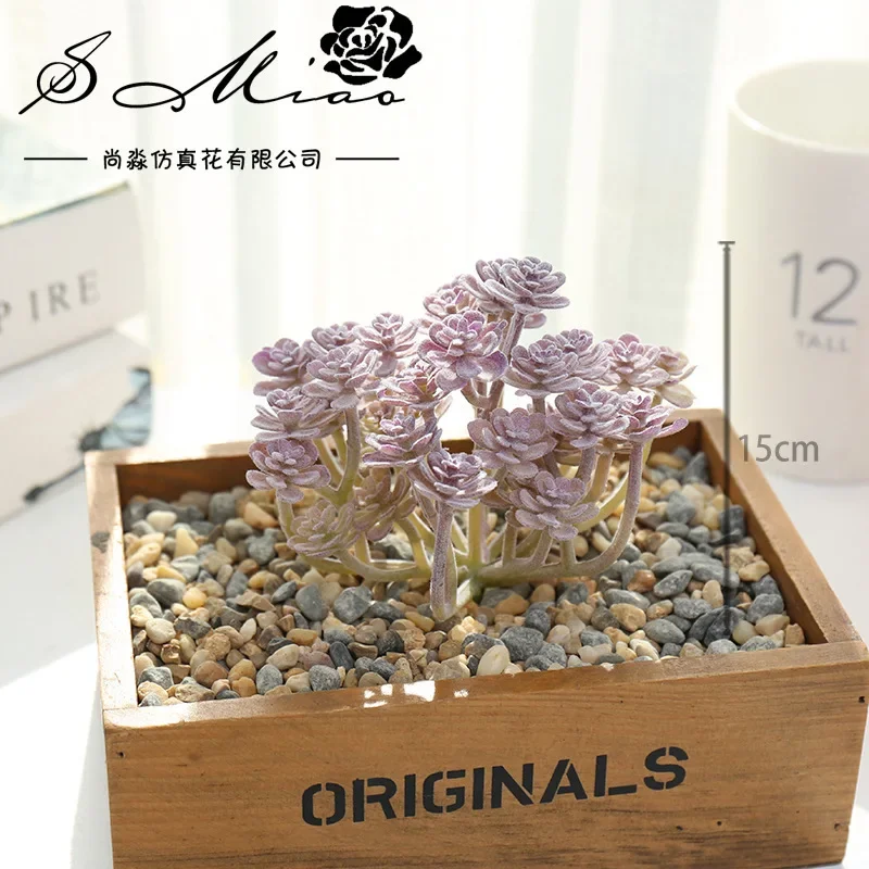 Lush Green Succulent Cactus Decorative Accessory