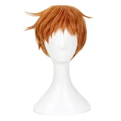 The Seven Deadly Sins King Cosplay Wig - Short Heat - Resistant Synthetic Hair with Wig Cap - One Size (King)