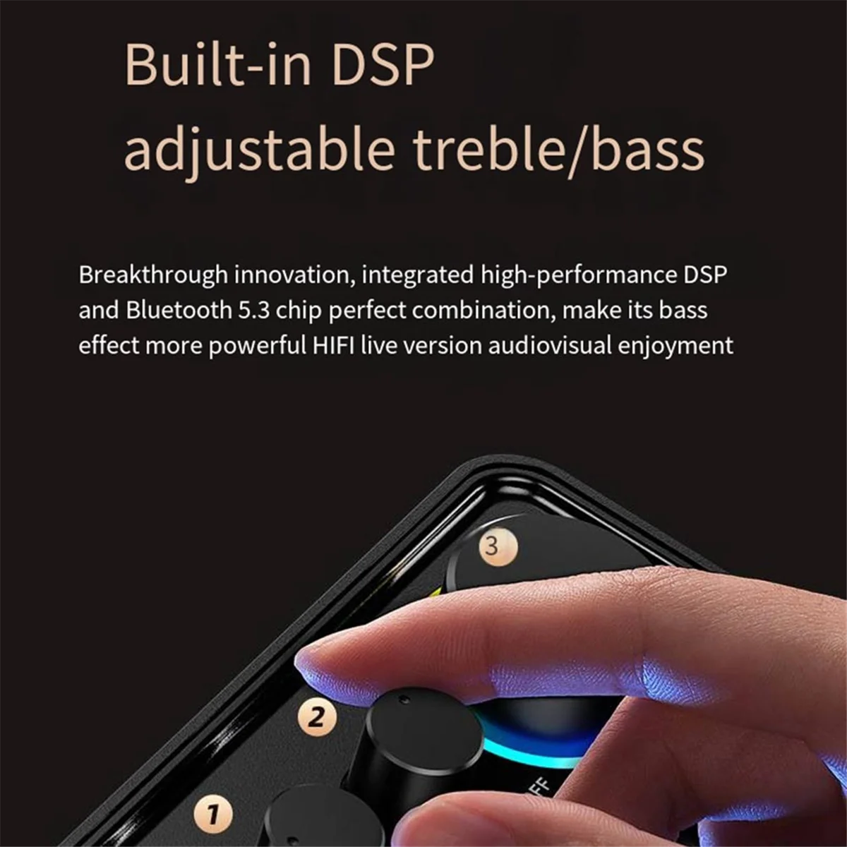 #208S Mini Small Power Amplifier Audio Power Amplifier (Black)