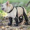 Sb3679b706c244cecb7a42e5adaae3b84m.jpg Dog Shoes Waterproof Adjustable Dog Boots Rain Day Pet Supplies Shoes For Dogs Outdoor Walking Soft French Bulldog Paws Protect