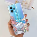 Case-c23