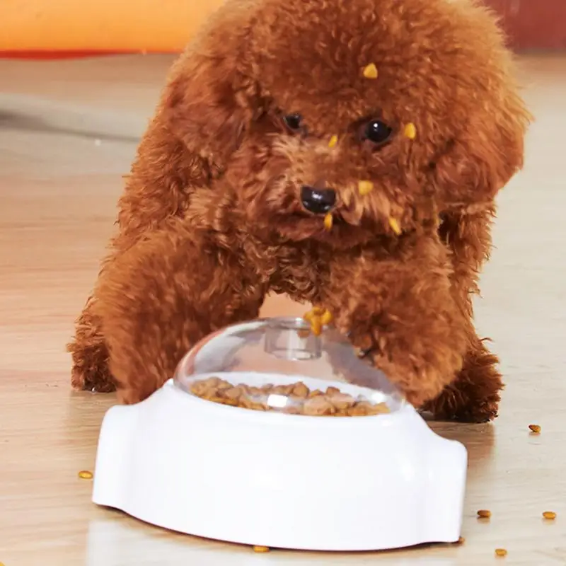 ��ȭ �� �� ġ�� ���漭 ������ ġ�� �Ѹ� ���漭 ���� ���� ���� �Ǵ� ������ �������� ���� �Ʒ� �峭��