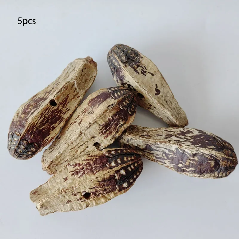 Natural Material Pet Parrot Toy Bird Paw Grinding Biting Wooden Toys Pet Parrot Macaw Hammock Bird DIY Toy 2