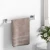 Silver Towel Bar