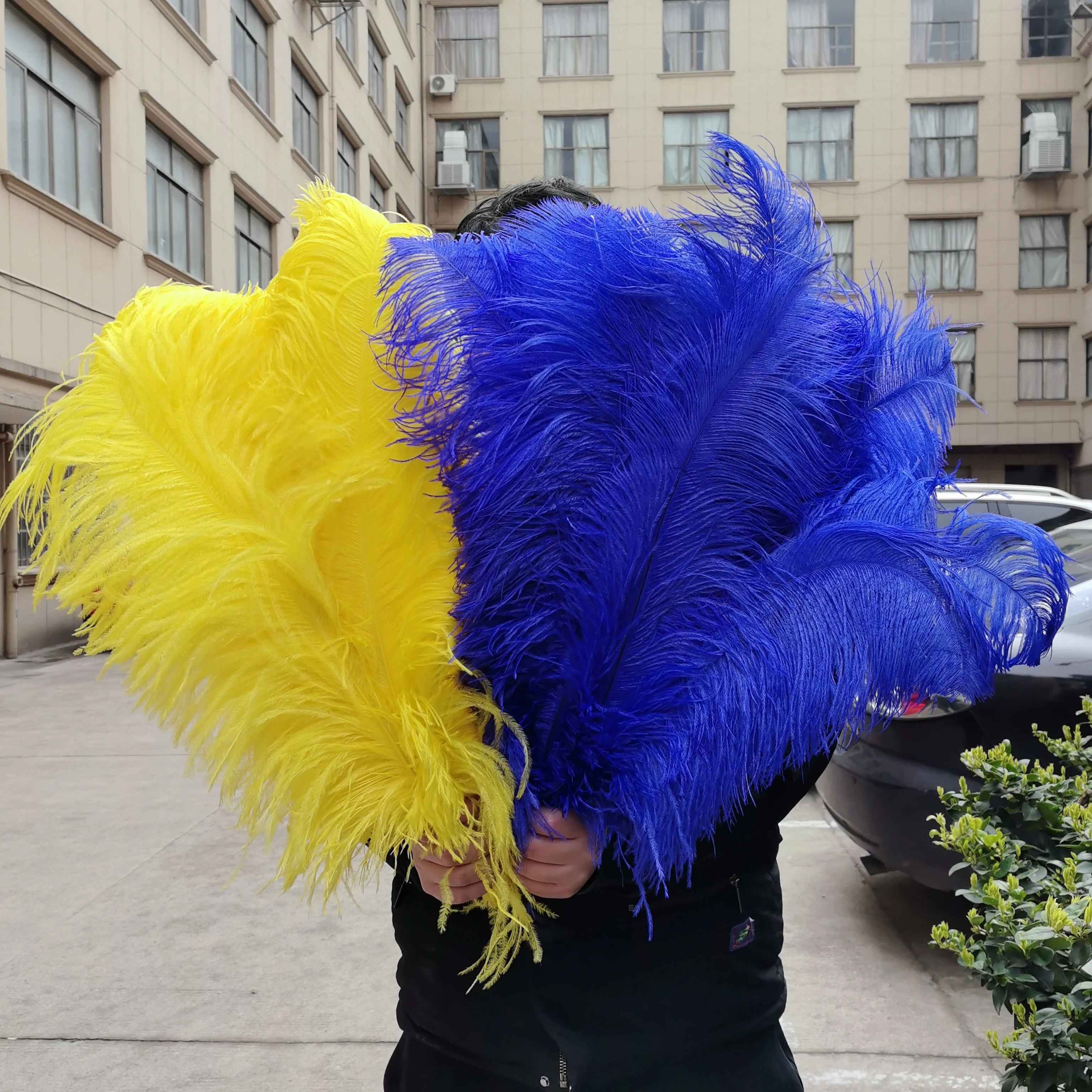 15-60cm Natural Ostrich Feathers Craft Feathers Natural Feathers for DIY Wedding Party Stage Costume & Home Decor