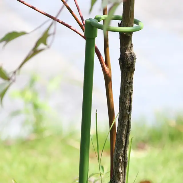 Növénytáblák A Kötés Elleni Nyitó Tartótámogató Növények Formáló Mászó Keret Edényállványa Az Orchidea Számára - Image 5