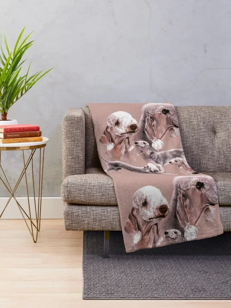 Bedlington �׸��� ���������� ������ ���, �����̳� ���, ķ�� ���