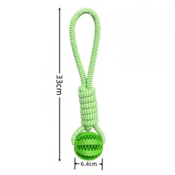 Bite - Resistant Watermelon Dog Toy with Interactive Features (Green)