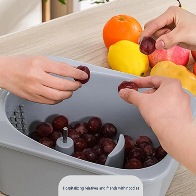 Automatic Fruit and Vegetable Sanitizing Machine