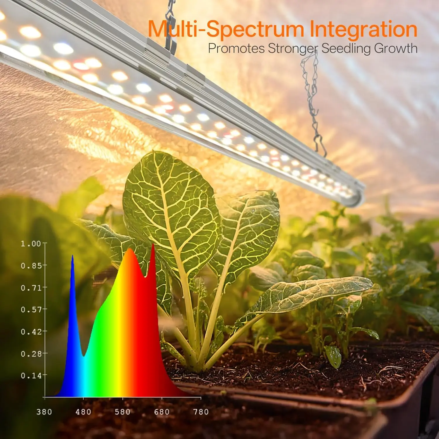 Ventilation window and interior of mini greenhouse