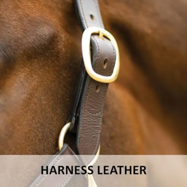 Horse halter for daily use premium Lancaster leather classic brown adjustable fit with solid brass hardware