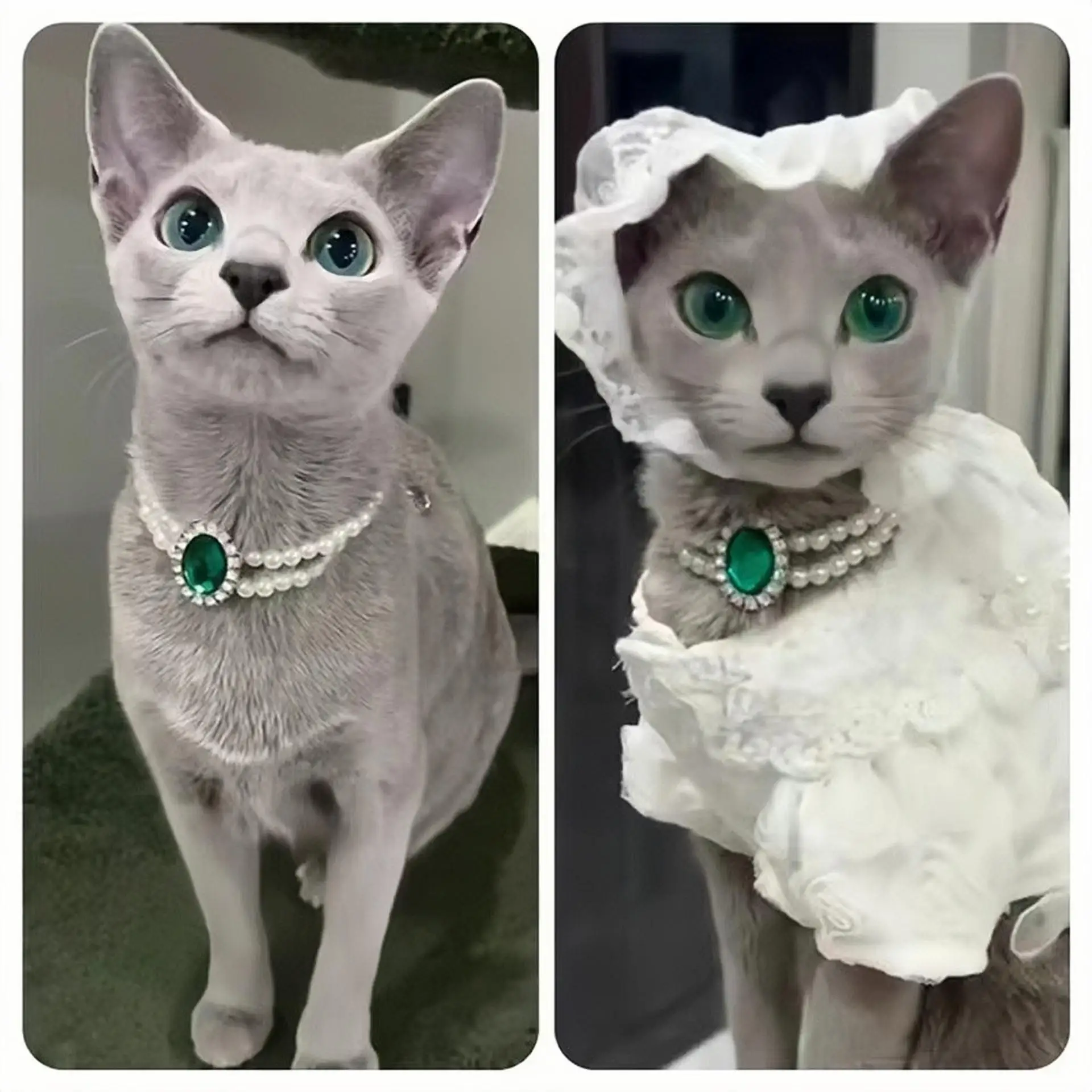 에메랄드 보석 진주 고양이 목걸이, 럭셔리 고양이 목걸이, 고양이 목걸이, 고양이 강아지, 여성 용품