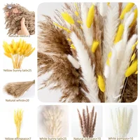 90Pcs Natural Dried Flowers Pampas Bouquet
