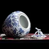 Apple Shape Storage Jar with Lid Blue and White Ceramic Canister Kitchen Food Coffee Sugar and Tea Jar Caddy Canister Porcelain 4