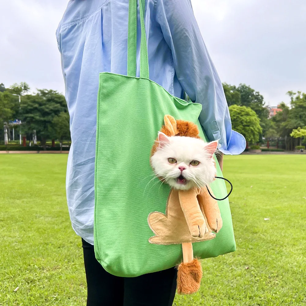 Pet outdoor shoulder bag cartoon lion cat bag dog for outdoor travel teddy bear comparison English short corgi