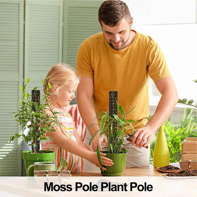 4 pcs 24 pouces Poteau de mousse en plastique pour les plantes Monstera,  support de plante empilable, bâtons de mousse auto-arrosants pour plantes  grimpantes d'intérieur travailler avec la sphaigne