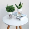 Mini Hydroponic Flower Pot Home Vase Decor Transparent Imitation Glass Soilless Plant Pots Green Plants Pot For Home Decoration 3 Mini Hydroponic Flower Pot Home Vase Decor Transparent Imitation Glass Soilless Plant Pots Green Plants Pot For Home Decoration 3