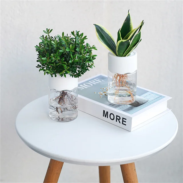 Mini Hydroponic Flower Pot Home Vase Decor Transparent Imitation Glass Soilless Plant Pots Green Plants Pot For Home Decoration 3 Mini Hydroponic Flower Pot Home Vase Decor Transparent Imitation Glass Soilless Plant Pots Green Plants Pot For Home Decoration 3