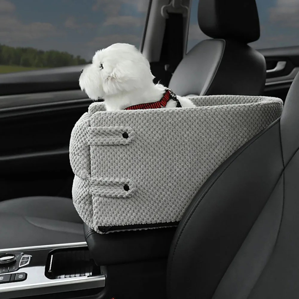 How Should A Dog Travel In The Car