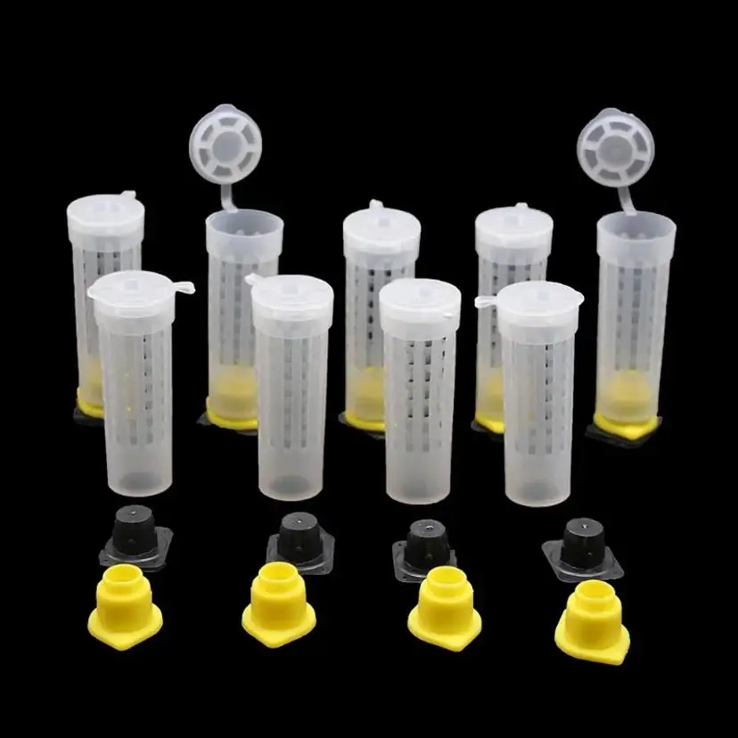 10 Pcs Beekeeping Bee Plastic Queen Rearing Cage Cup Box Protection Cover Catcher Protective Base Bees Tools Supplies Equipment