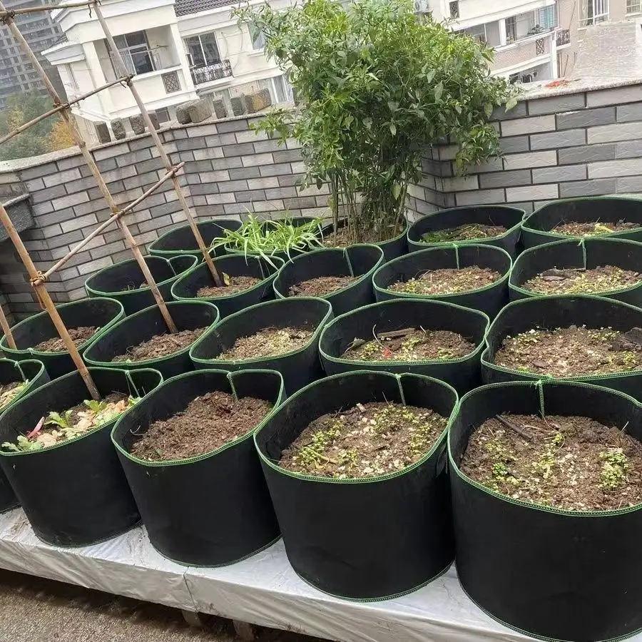 메이 식재 가방, 발코니 지붕 두꺼운 부직포 식재 가방, 야채 및 과일 묘목 화분 식재 가방, 도매