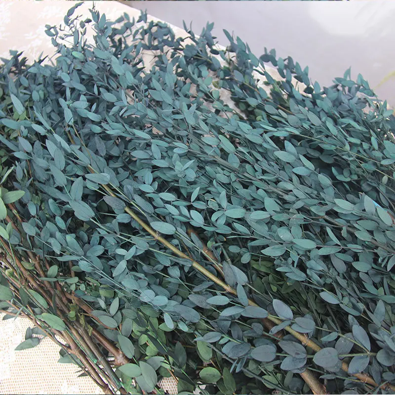 Real Natural Plant Eucalyptus Dried Green Leaves Home Decoration Christmas Outdoor Wedding Party Flower Arrangement DIY Resin