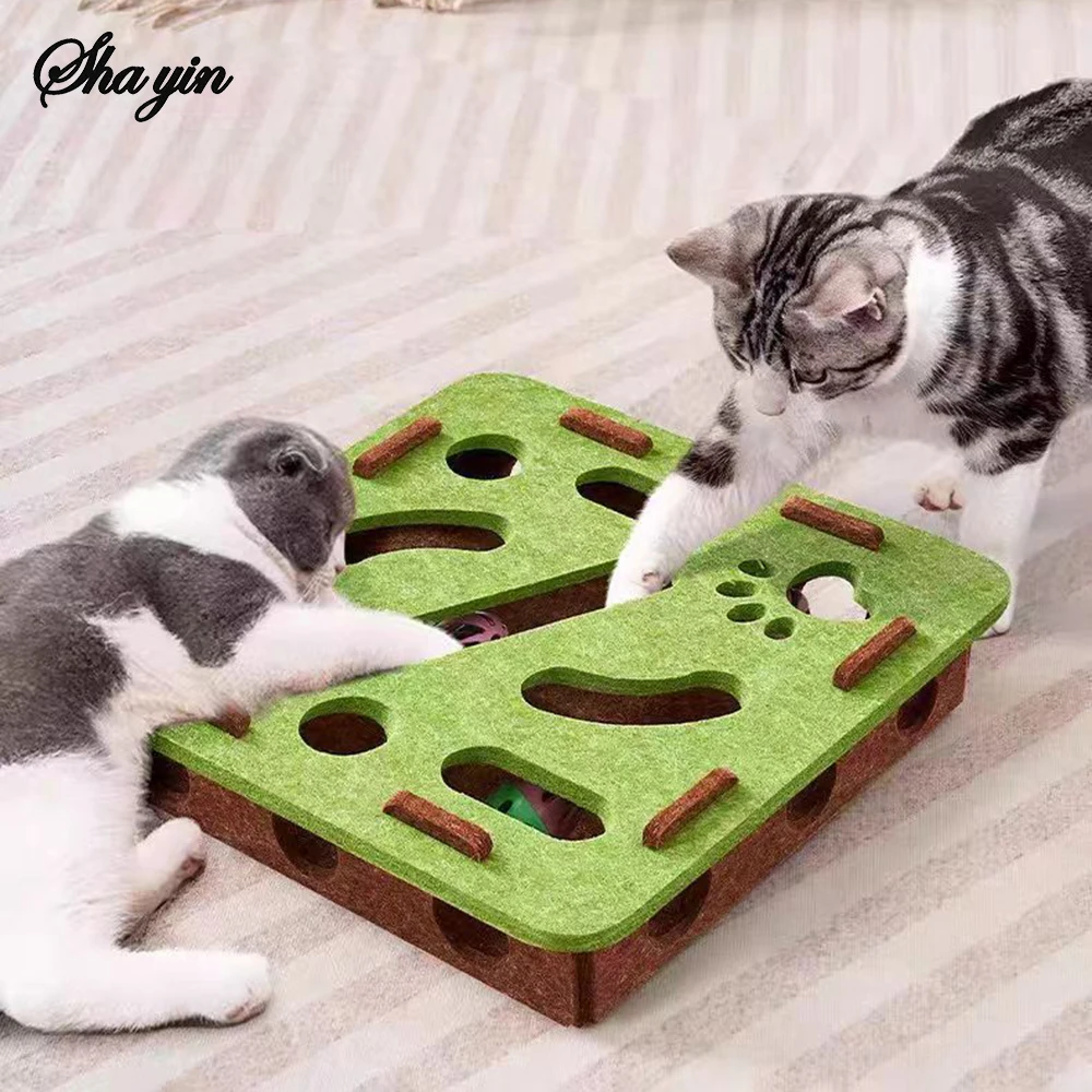 Puzzle Cat Toy 3