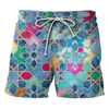 Summer Fashion Classic Colorful Leopard 3D Printed Men's Shorts Unisex Casual Beach Swimming Shorts Quick-dry Surf Board Shorts 6
