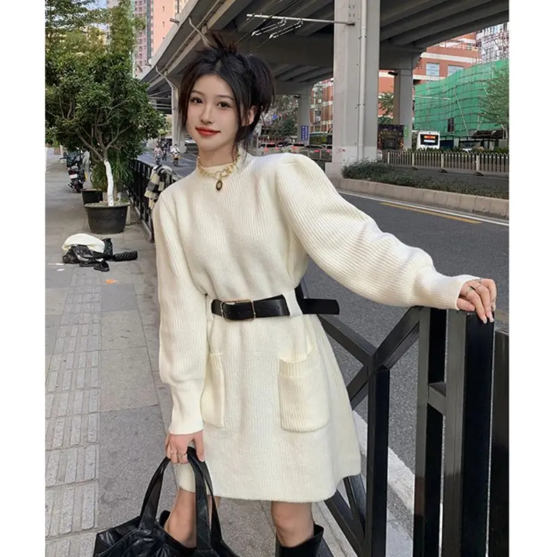 

2023 Thick Warm Waistband Mid Length Sweater for Women's Autumn and Winter High Neck Over Knee Knit Pocket Bottom Dress B750