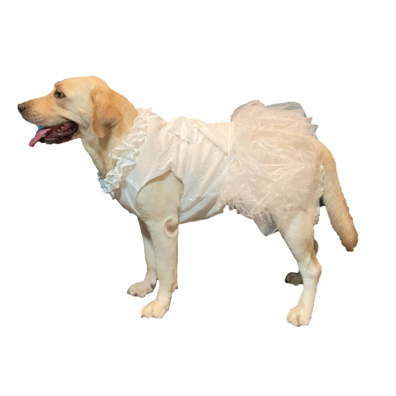Wedding Dress For Large Dogs Summer Dog Clothes For Pets_voghion.com