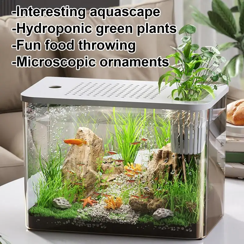 Curated visual reference: Small Compact Aquarium For Goldfish Reference: Sb3A007F648034F568722Ed371058375Bz Jpg