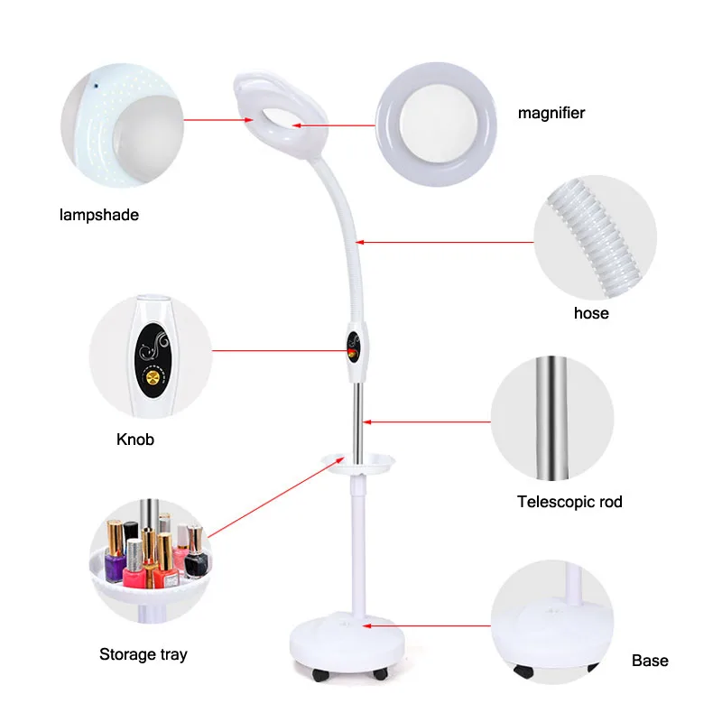 Lámpara de pie LED, luz estética LED, lupa 8X con luz, lupa iluminada para  lectura : Salud y Hogar 