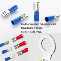 480PCS CRIMP Connectors,2.8 มม.4.8 มม.6.3 มม.ชายและหญิง Spade ชุดเชื่อมต่อ,15 ประเภท CRIMP เทอร์มินัลตัวเชื่อมต่อไฟฟ้า 6