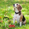Sb3a4021bee814dedbc9ceca7a8f442efZ.jpg High Quality 5mm*3m Lengthen Steel Wire Dogs Rope Chain Durable Double-end Dogs Leash Cable Dual Heads Metal Hooks Pet Supplies