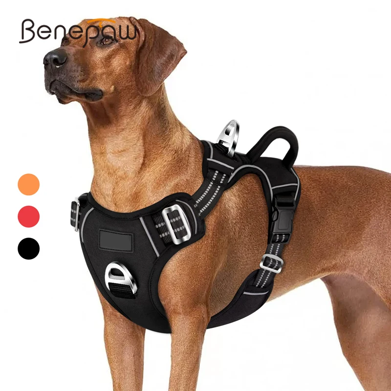 Benepaw No Pull Pettorina Per Cani No Choke Maniglia Di Controllo Facile Pettorina Riflettente Per Animali Domestici 2 Clip Per Guinzaglio Gilet Per C