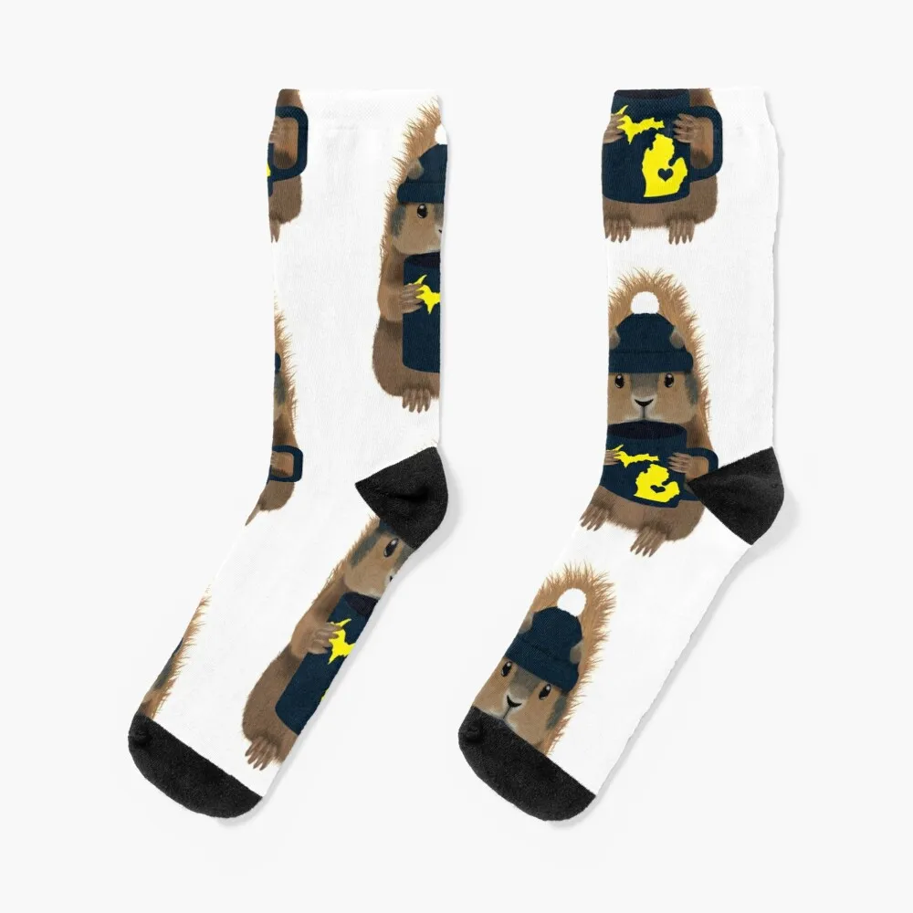 Squirrel with Ann Arbor Mug Socks Men'S Soccer Sock Winter Socks Men silverbrush blackvelvet squirrel