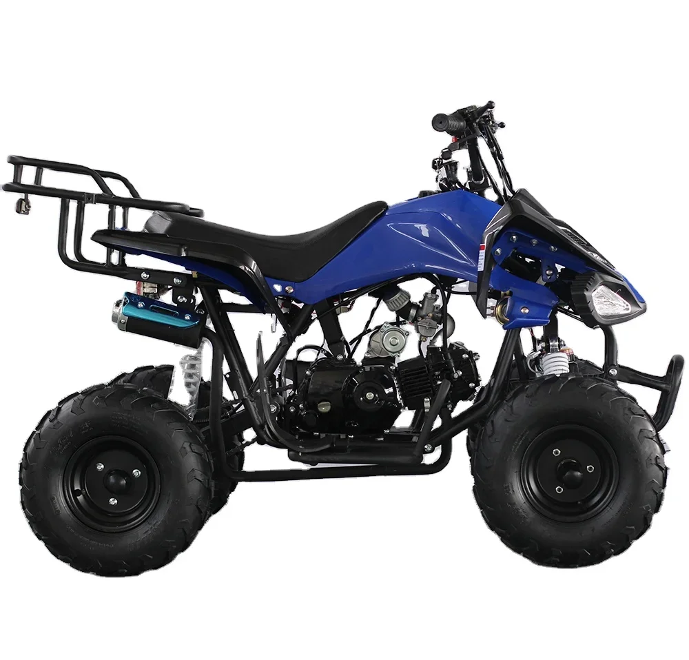 ATV with gas powered 110cc 4 wheeler, 2WD Automatic Chain Drive for sale in China china electric starting single cylinder epa 110cc 125cc automatic 4 stroke cheap 110cc atv 4x4 125cc