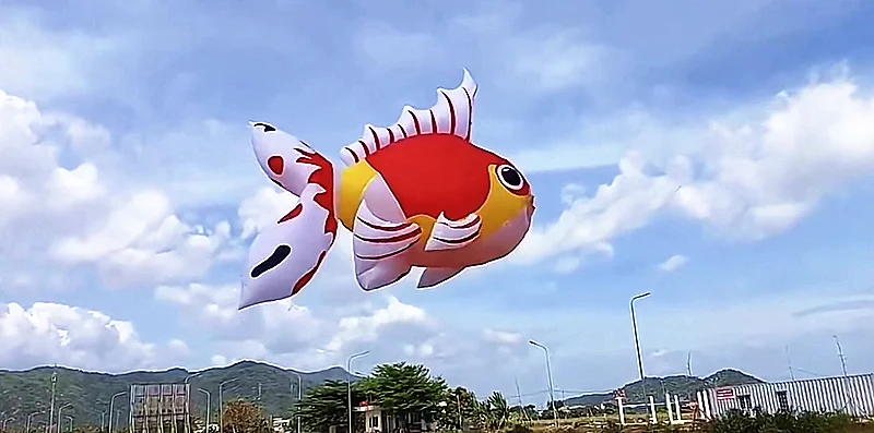 5 m großer Goldfischdrachen-Anhänger, aufblasbare Alien-Drachen, Fabrik, neuer Drachen, Fallschirmdrachen, weicher Drachen, Surfen, Drachen, Koi, Cerf Volant – Detail 5