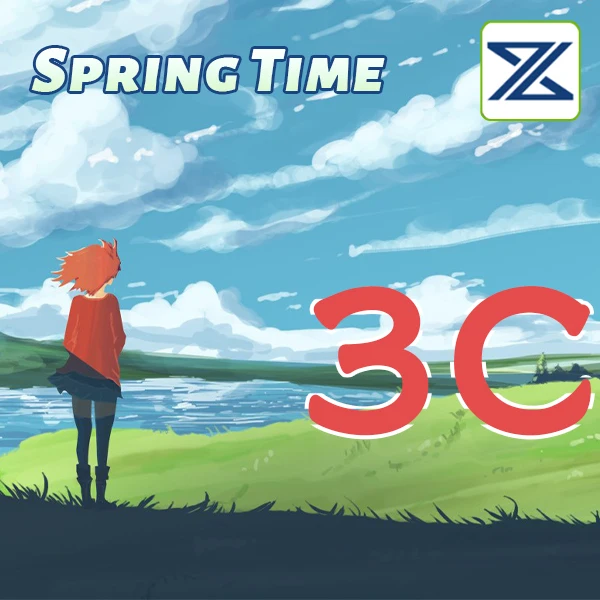 SpringTime 3C Store