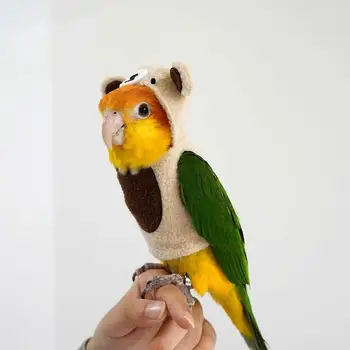 Warm Parrot Bear Costume 1