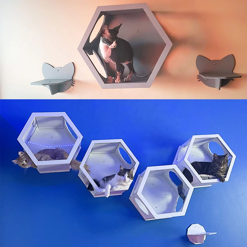 Acrylic Glass Window Cat Bed Furniture Wall Pet Toy Hexagon Cat Shelves Wood Climbing Shelf