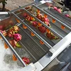 Vegetable Fruit Bubble Washer Industrial Banana Small Vegetable Washing Machine 6