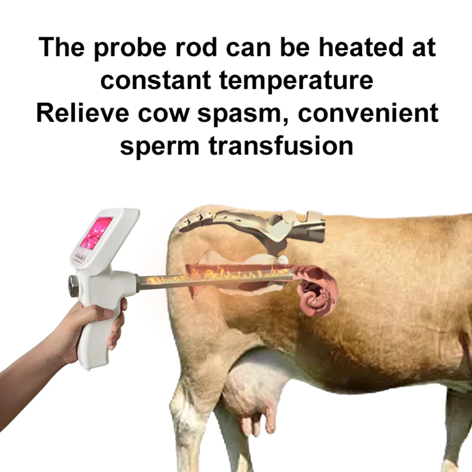 Inseminazione artificiale di mucca Visione Endoscopio Sperma Intelligenza artificiale Pistola Strumento Strumenti di alimentazione veterinaria Fattoria di bovini per cavalli - immagine 4