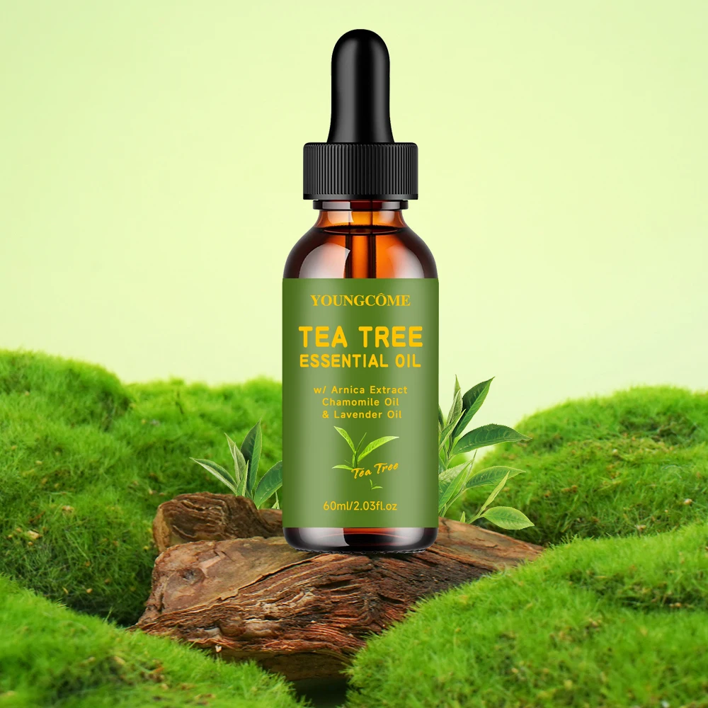 Sb3b133c2728144ad8f89db0a4c2de4e3Q