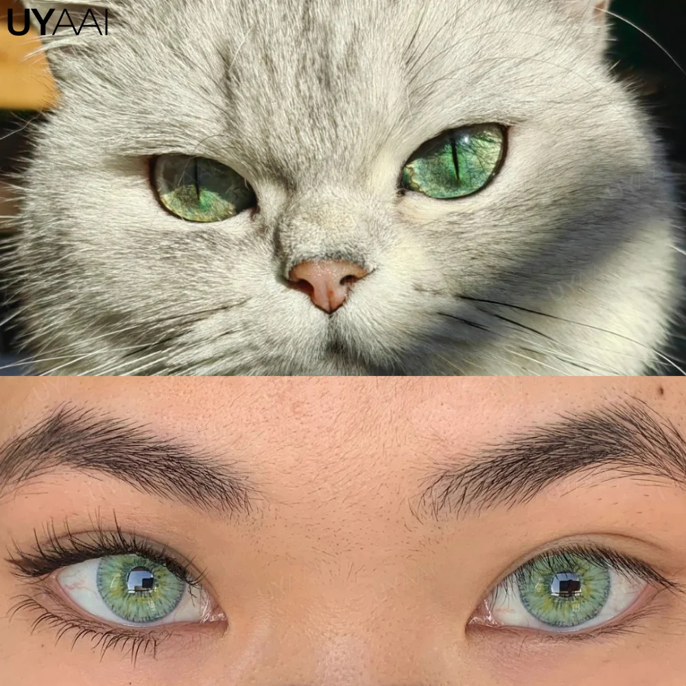 Lentes de Contato Verdes em Olhos Castanhos: Tudo o Que Você Precisa Saber, image size:1000x1000