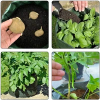 12 Gallons DIY Potato Planter Planting Container Bag Vegetable Gardening Jardineria Thicken Garden Pot Planting Grow Bag 4