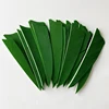 100 Pcs Hi-Q 3 Inch Turkey Arrow Feathers Shield Cut Hunting Archery Fletching For Bow Fletches Accessories RW 6