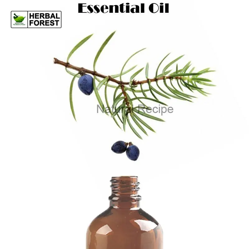 Pure Natural Juniper Berry Essential Oil Plant Aromatherapy Purifying Air Relaxes Mood Treating Acne Massage Oil Skin Care essential oil aroma diffuser aluminum shell portable waterless aromatherapy no water scent machine purifying air silent home