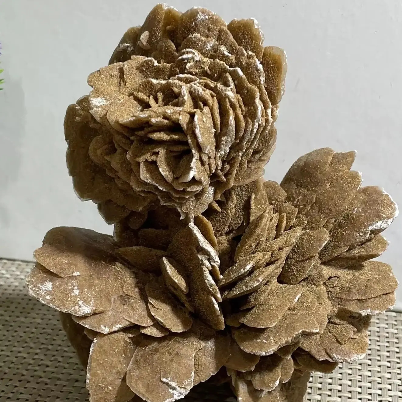 Natural From The Gobi Desert Rose, Quartz Crystal Selenium Stone Rough Ore,Mineral Reiki Healing Stone,Degaussing Decor 4
