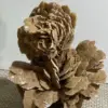 Natural From The Gobi Desert Rose, Quartz Crystal Selenium Stone Rough Ore,Mineral Reiki Healing Stone,Degaussing Decor 4